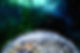 network-3607641.jpg