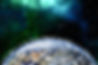 network-3607641.jpg